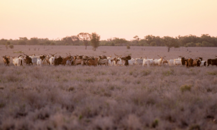 Why Property Risk Analysis and Investigations will become standard due diligence requirements for Australian Farmers