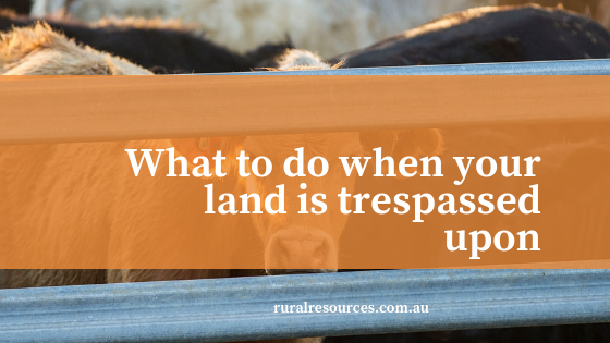 Info Sheet: What to do when your land is trespassed upon