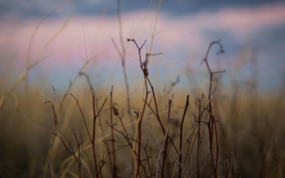 Legislative changes Queensland farmers may not know about