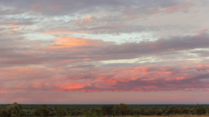 Sunset for Succession Planning Strategies