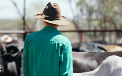 Farming Wife: I’m proud to be a farmer