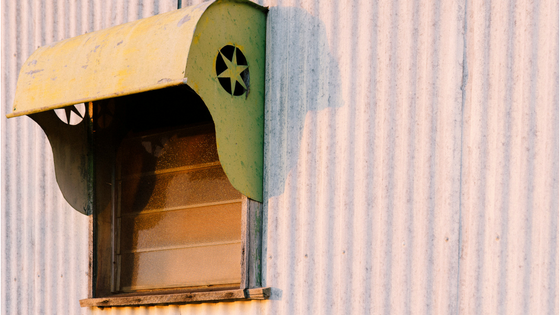 The City Chicks Guide to Australian Agriculture