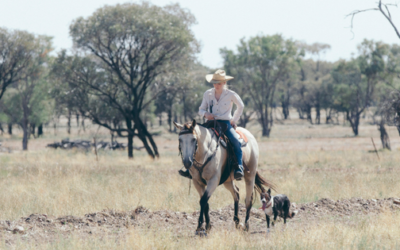 The challenges facing the Innovation Generation of Agriculture