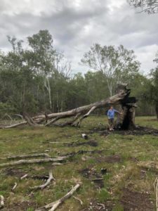 Bushfire victim