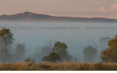 A simple way to start succession Planning and decision making for farmers