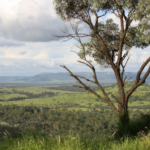 The Farming Wife: the Reality of Vegetation Management Laws in Qld