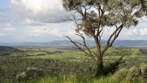 The Farming Wife: the Reality of Vegetation Management Laws in Qld