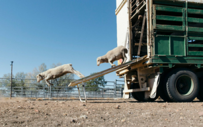 Every farmer needs a plan…