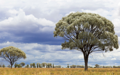 Change Management – buying a new property