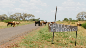 farmers in drought