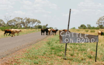 Why the drought is really hurting Australian farmers