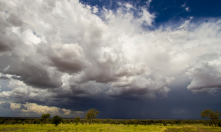 Farming Wife: misconceptions about Australian Agriculture