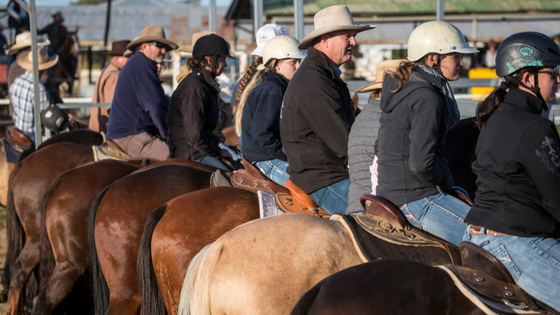 Lessons learnt from a station hand working in rural Australia