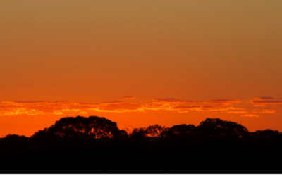 Essential Information for Farmers Negotiating a Coal Seam Gas Conduct and Compensation Agreement