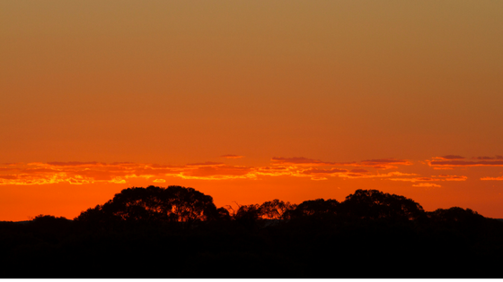 Essential Information for Farmers Negotiating a Coal Seam Gas Conduct and Compensation Agreement