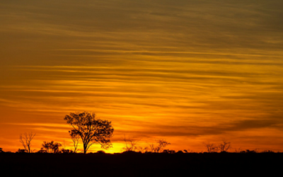 Rural Succession Planning: When to pass control and beware of tax and duty traps.