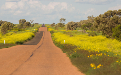 Farming Wife – the little things in life