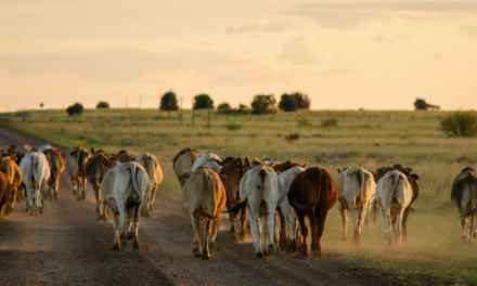 Identified Impacts of Coal Seam Gas Activity on Farming Land